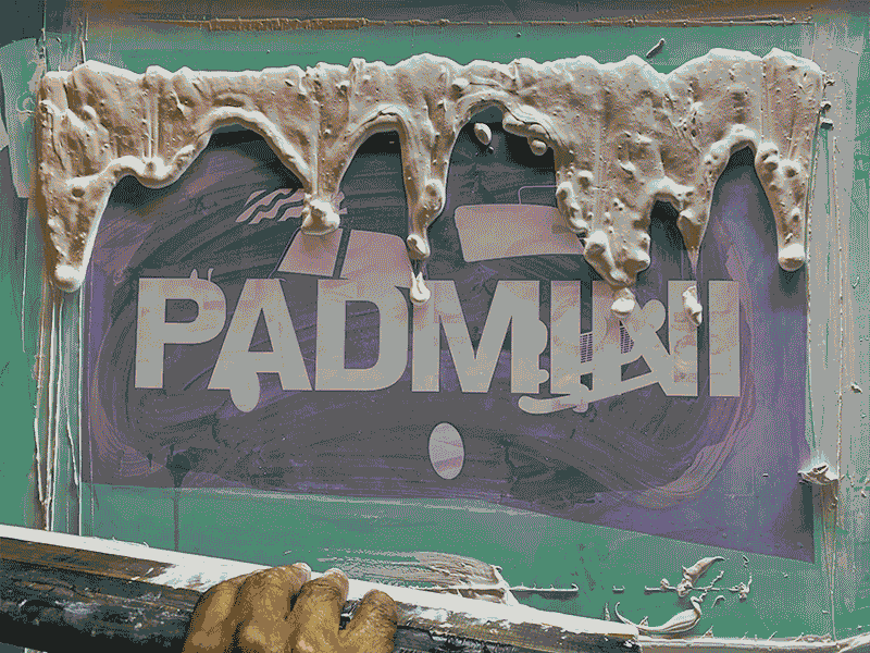 PADMINI-1